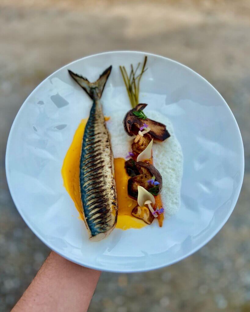 Vague forestière Landaise - 4